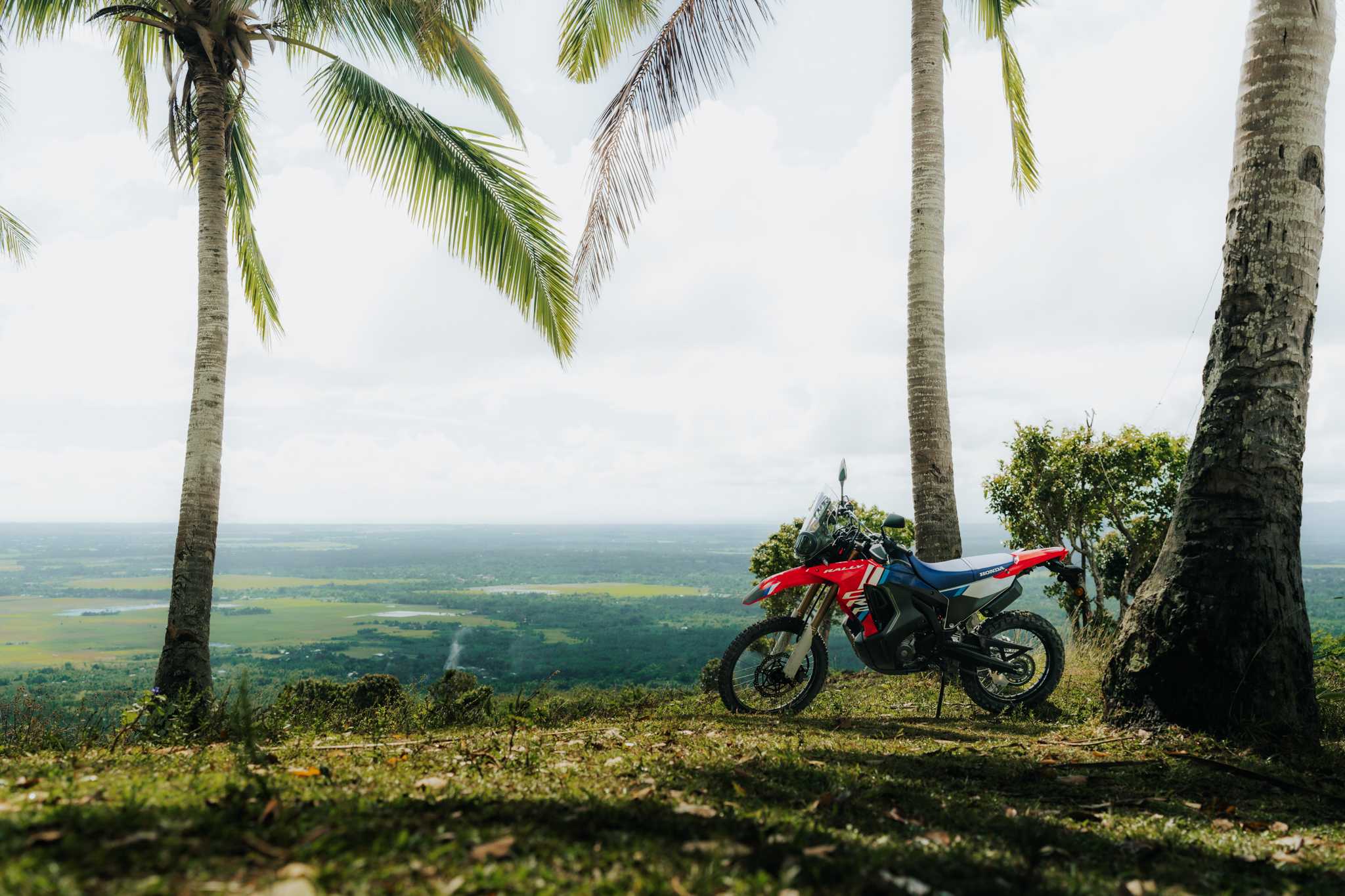 Honda Off-road - Image 6