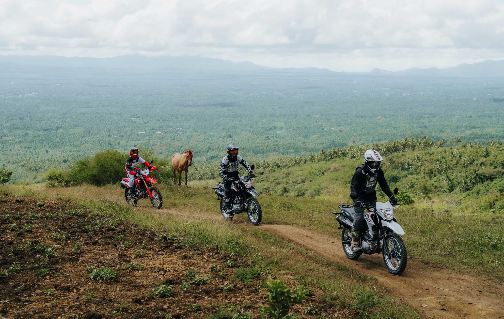 Honda Off-road - Image 9